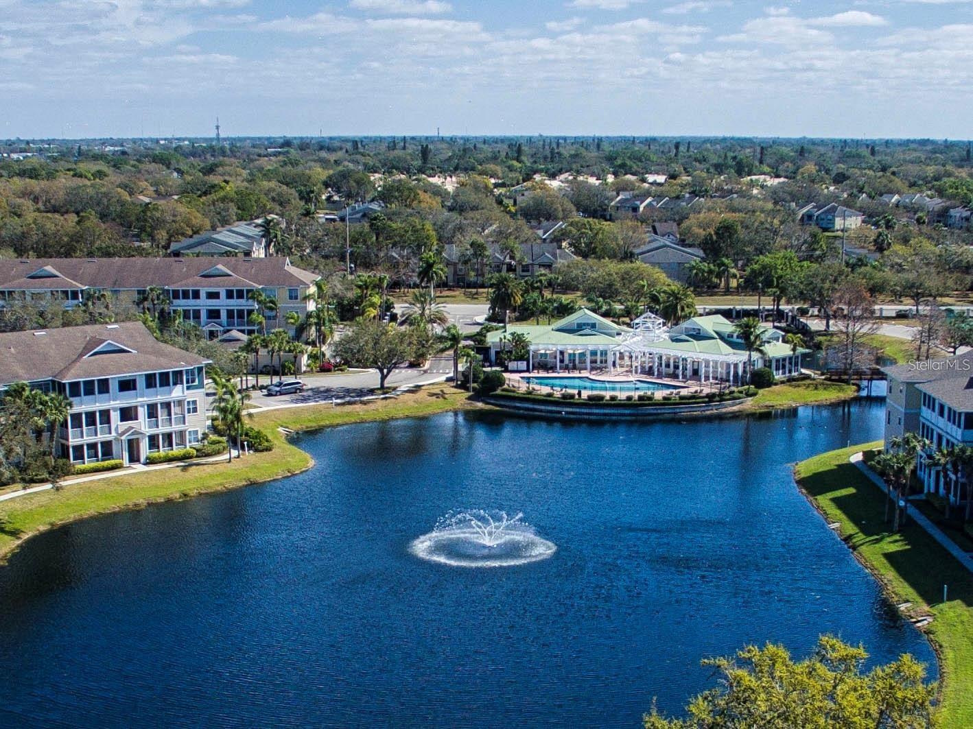 THE PALMS OF CORTEZ - Residential