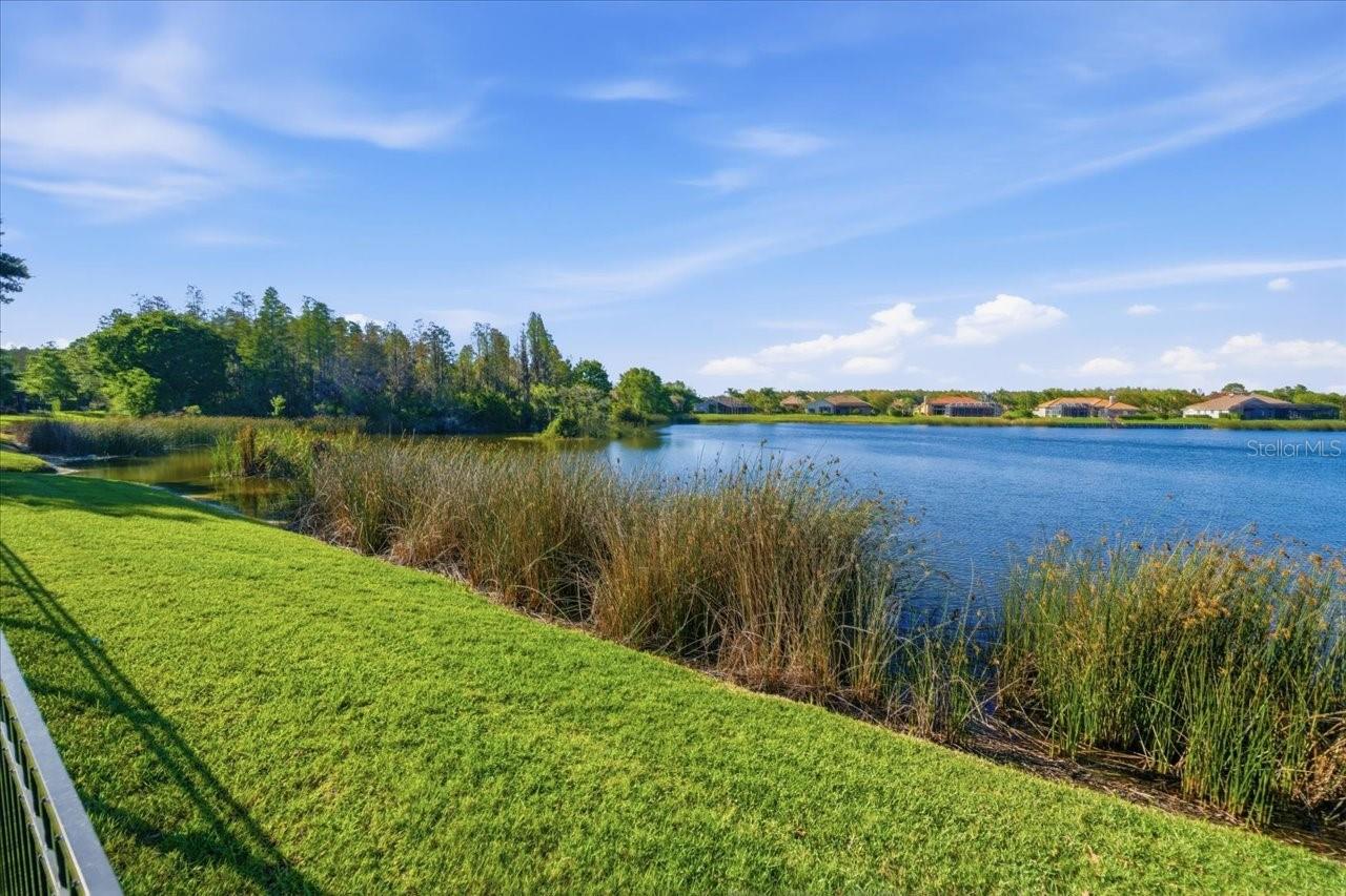 CHEVAL POLO & GOLF CL PHAS - Residential