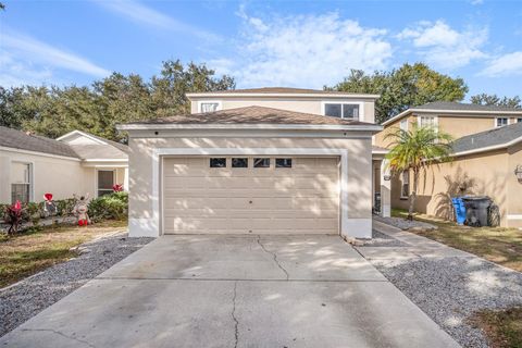 8430 QUARTER HORSE DRIVE RIVERVIEW FL 33578