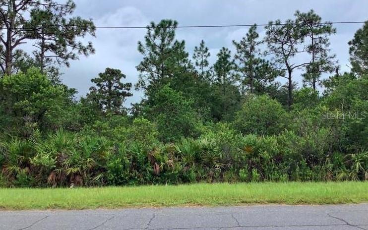 This 1.03 acres of Virgen land in the upcoming East Orlando Golf Community of Wedgefield/Cape Orlando Estates, is vacant ready for a single-family home. Septic needed, Natural well water needed, electricity is available nearby. The Land is close to the Beachline 528, I-95, 408, and the 417 which allows easy access to the International Airport, Cocoa Beach, Cape Canaveral, Lockheed Martin, Downtown Orlando, Lake Nona Medical City, the Theme Parks and other Beaches. If you like outdoors, hiking trials and being with nature. Hal Scott Regional Preserve and Park is right around the corner. The Preserve is a 9,515-acre Park located along the banks of the Econlockhatchee River.