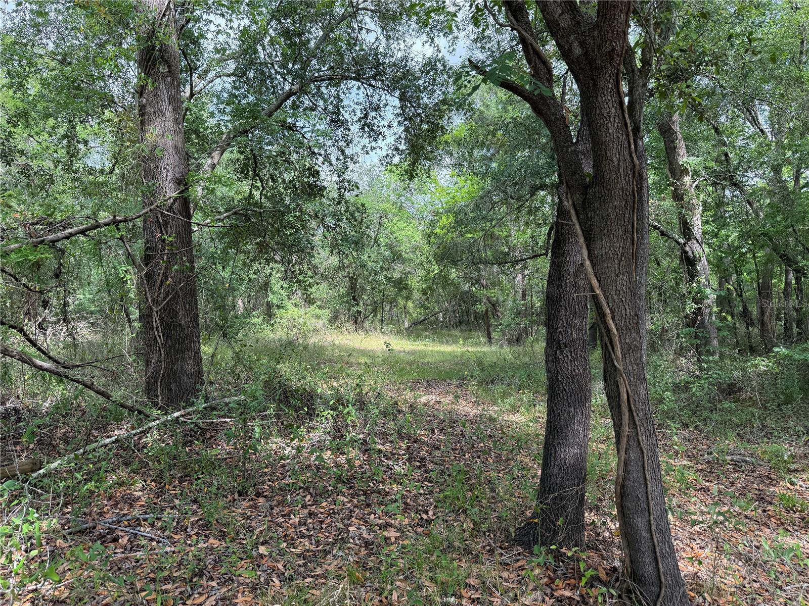 RIVERDALE SEC 1 - Land