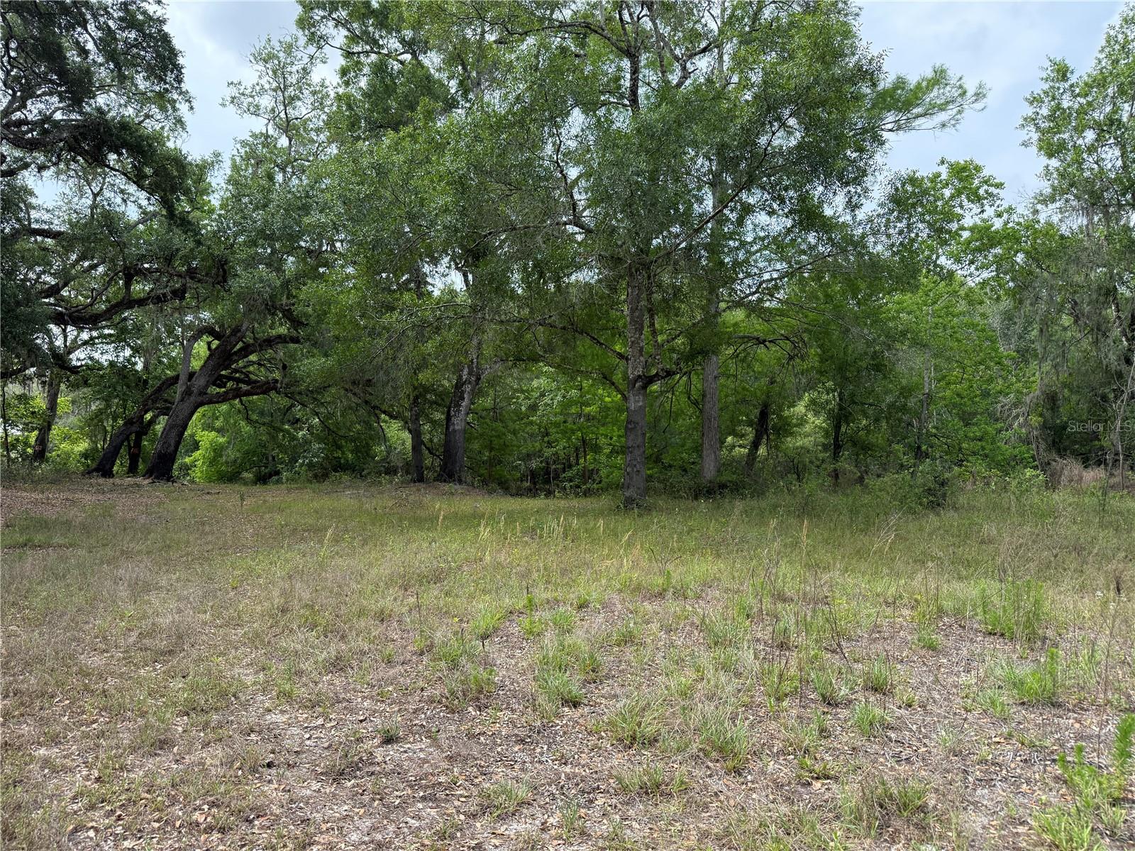 RIVERDALE SEC 1 - Land