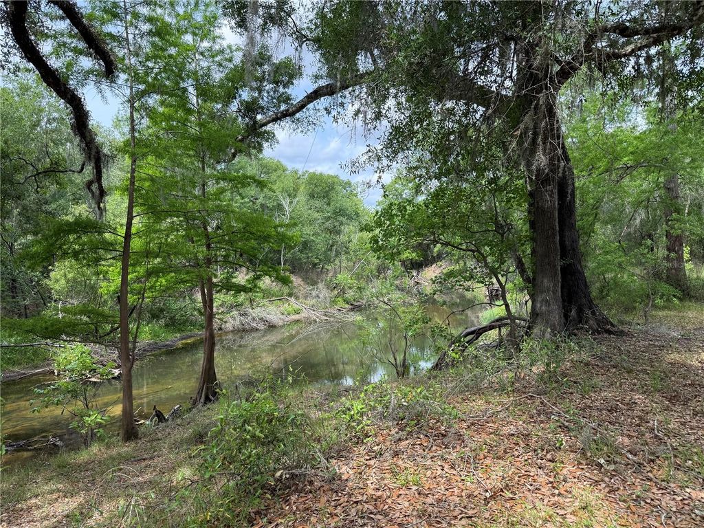 Photo of 3205 Park Dr, Dade City, FL 33523 (MLS # TB8500113)