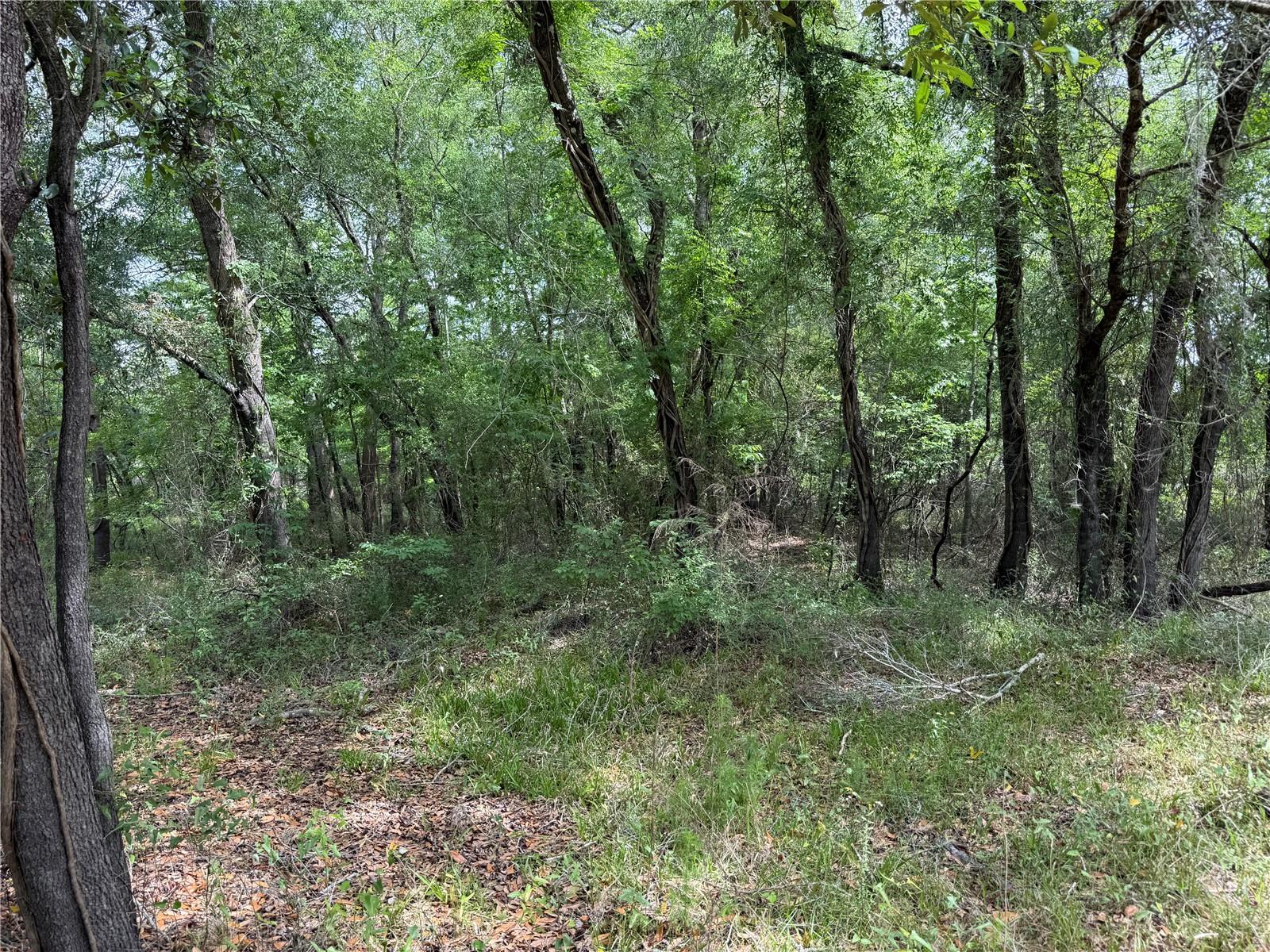 RIVERDALE SEC 1 - Land