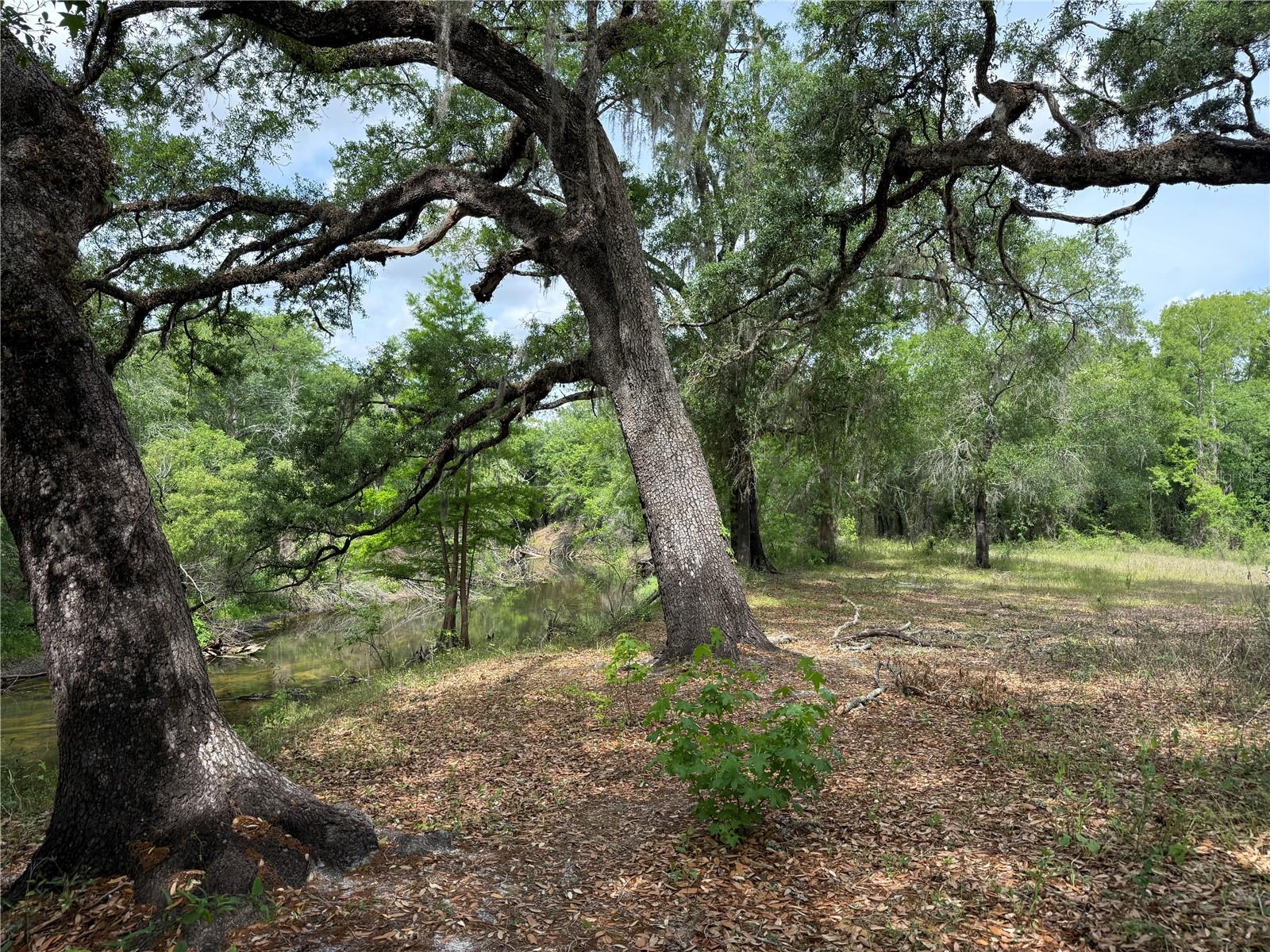 RIVERDALE SEC 1 - Land