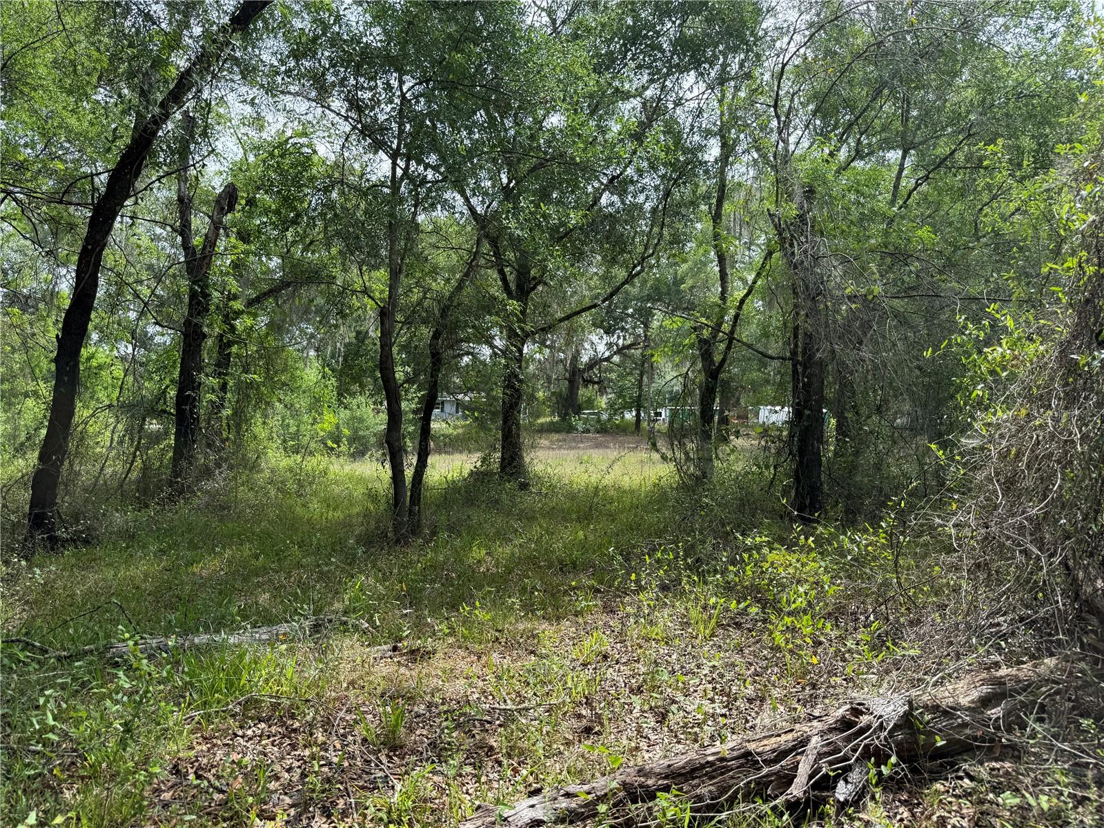 RIVERDALE SEC 1 - Land