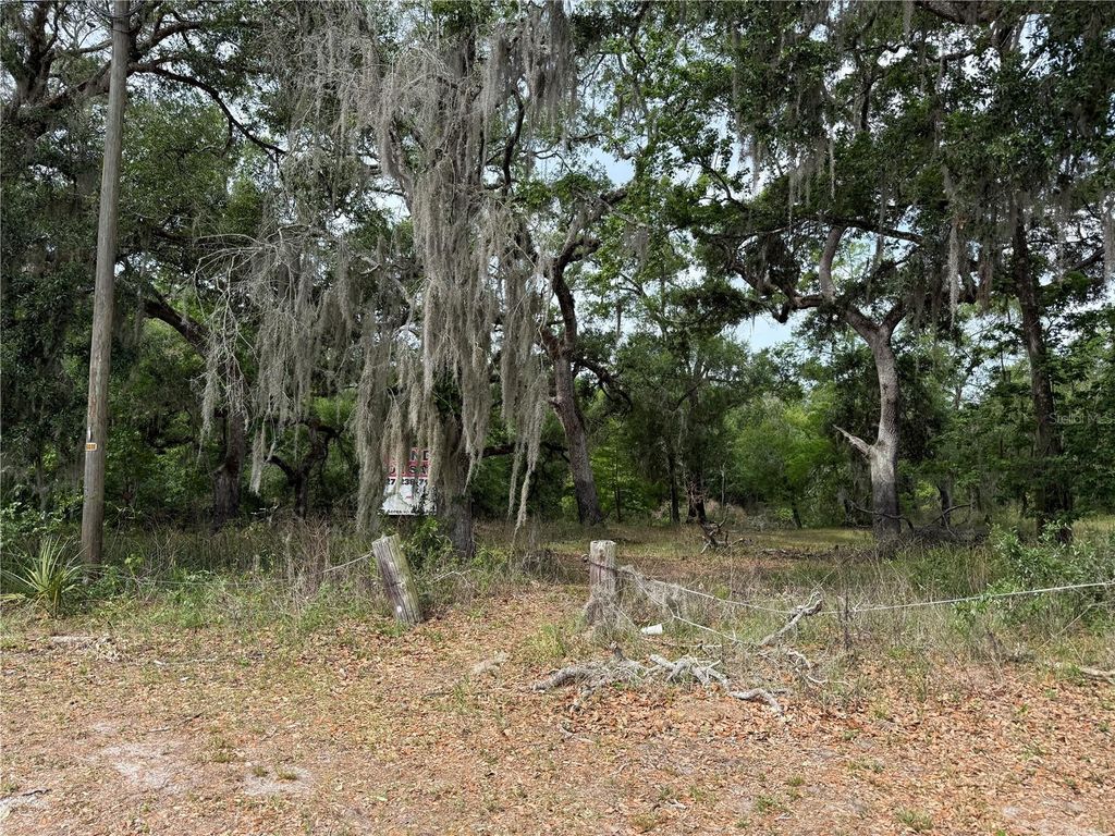 Photo of 3205 Park Dr, Dade City, FL 33523 (MLS # TB8500113)