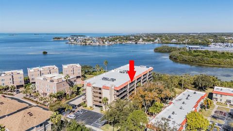 2700 BAYSHORE BOULEVARD 9402 DUNEDIN FL 34698