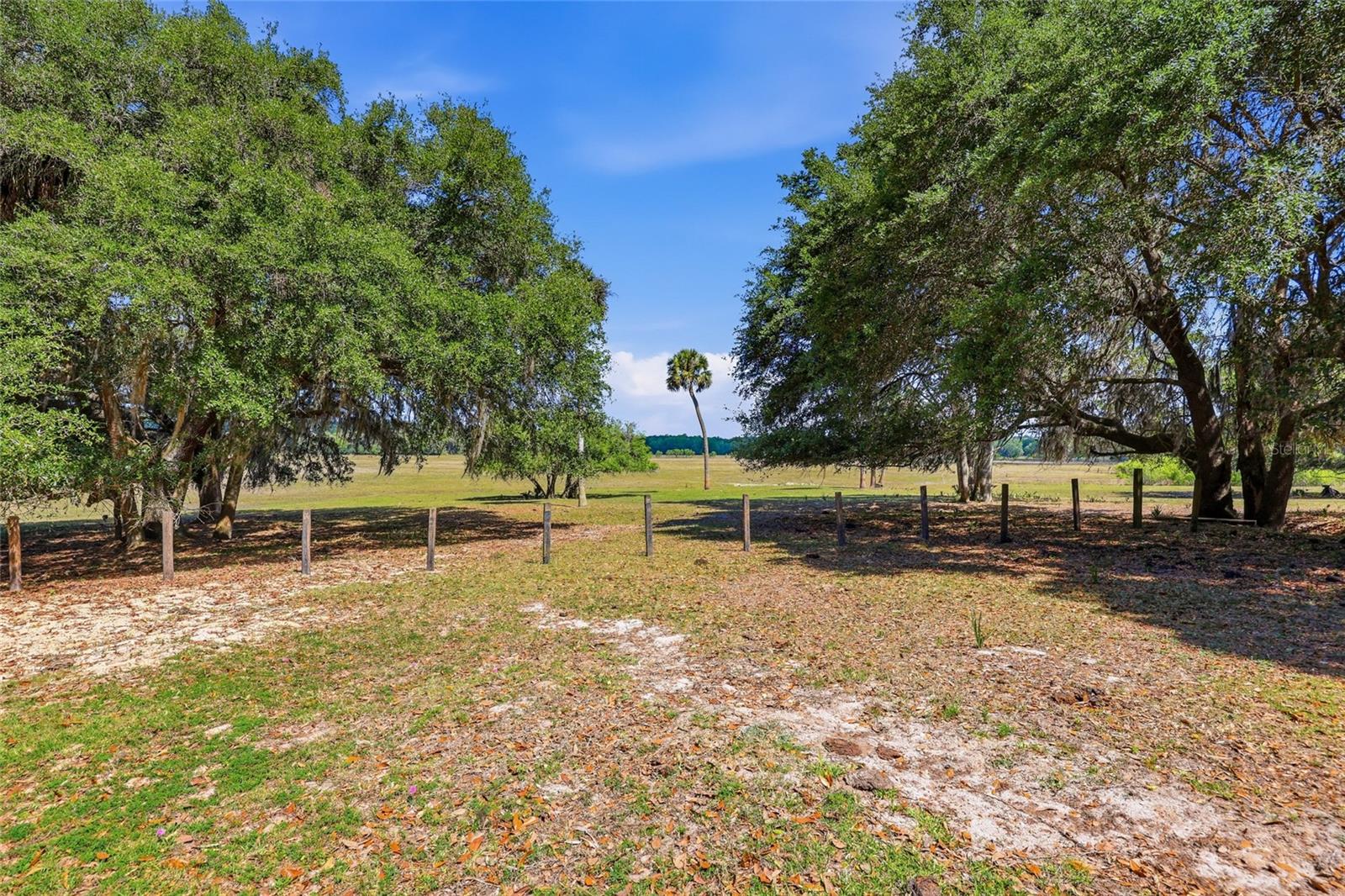SIMONTON FARMS - Residential