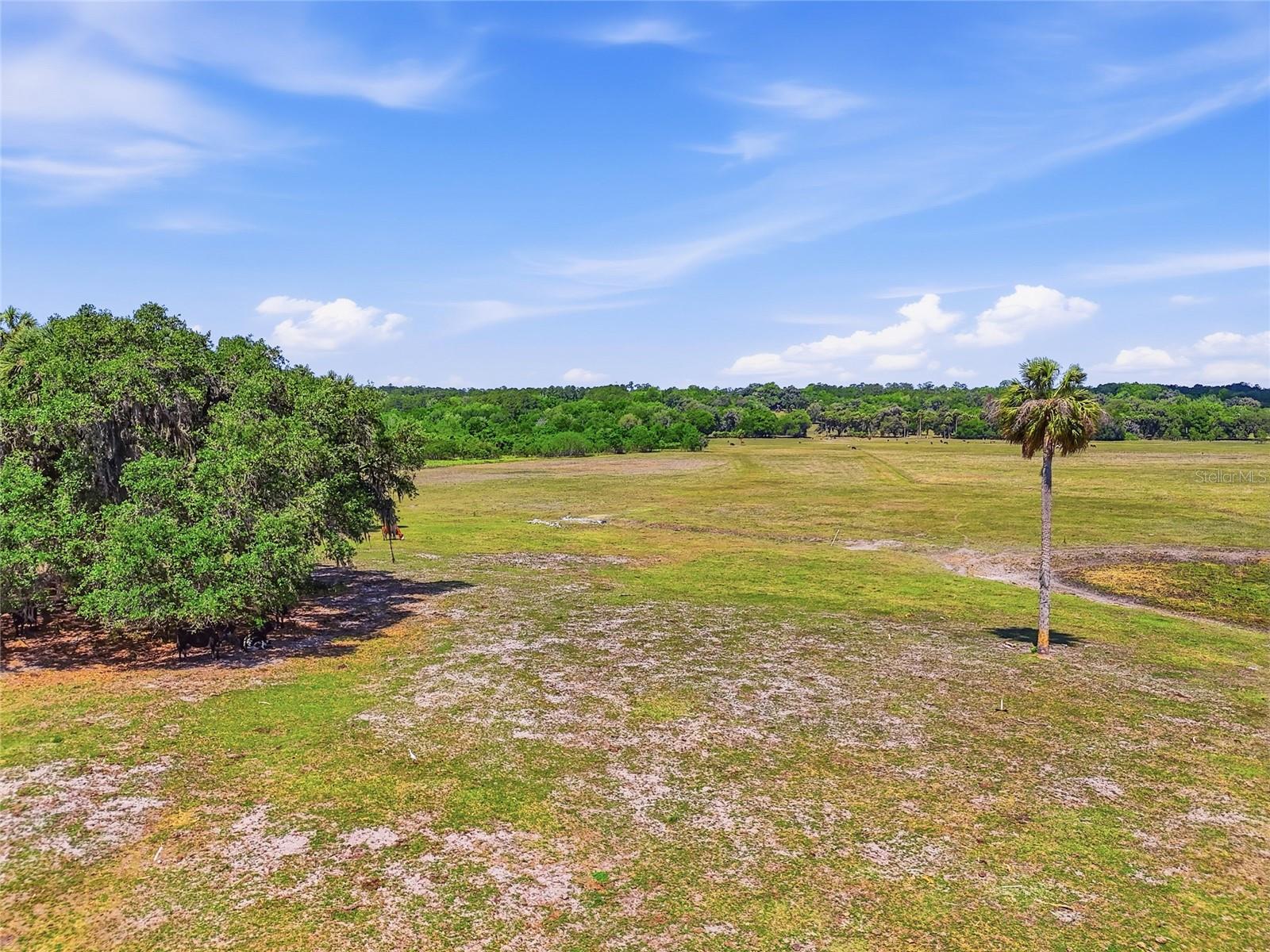 SIMONTON FARMS - Residential