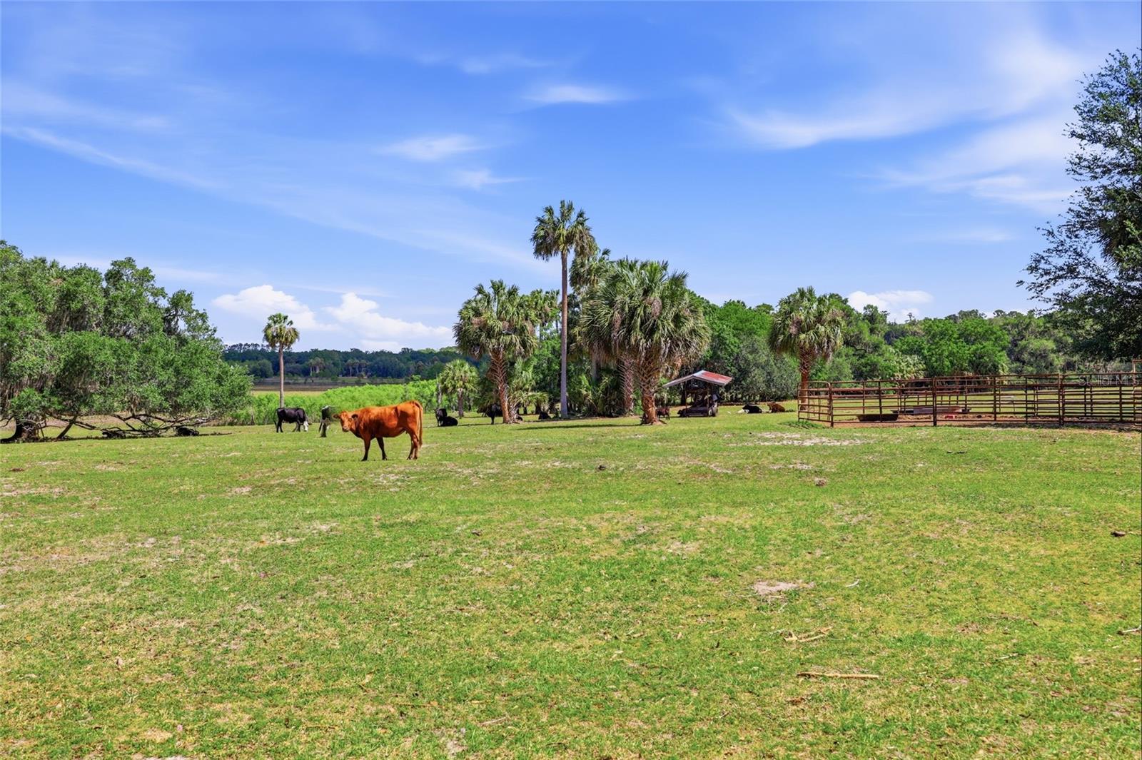 SIMONTON FARMS - Residential