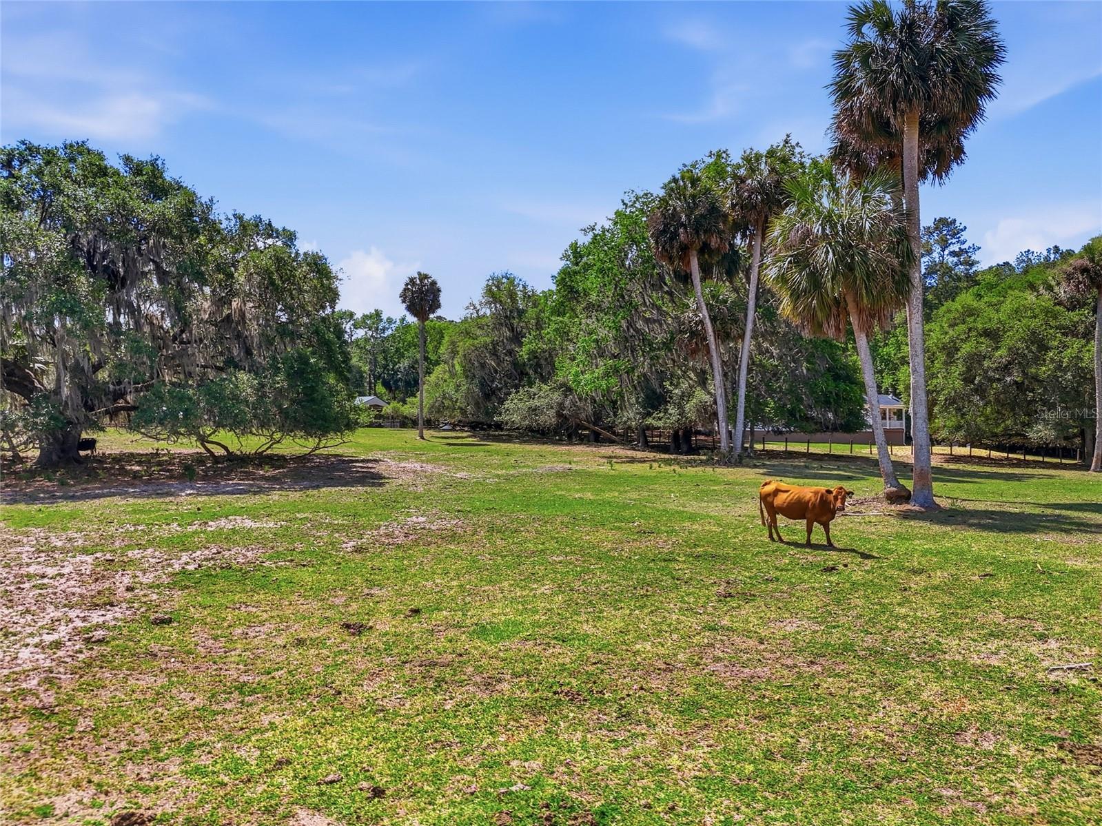 SIMONTON FARMS - Residential