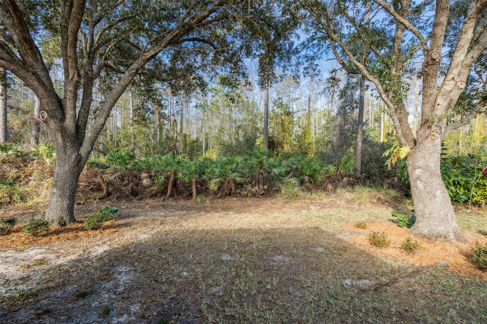 VILLAGES AT SUMMER LAKES CYPRESS - Residential