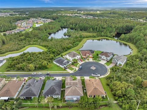 A home in WESLEY CHAPEL