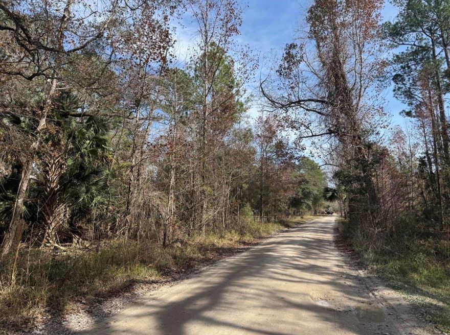 Discover the perfect opportunity to own your own slice of North Central Florida! This beautiful 8-acre parcel in Citra, just outside of Ocala, is nestled within the Black Sink Campsites subdivision and offers endless potential for those seeking privacy, nature, and room to grow. Surrounded by Florida’s natural beauty, this unimproved land provides a peaceful, wooded setting ideal for building your dream home, creating a weekend retreat, or investing in land for the future. With no formal street address, the property is conveniently located near NE 137th, offering easy access while still maintaining a secluded, off-the-beaten-path feel. Enjoy the charm of rural living while being just a short drive from Ocala’s shopping, dining, and amenities. Whether you’re looking to escape the hustle and bustle, bring your outdoor lifestyle to life, or secure acreage in a growing area, this property is full of possibilities. Don’t miss your chance to own 8 acres of Florida land—schedule your visit today and explore the potential for yourself!