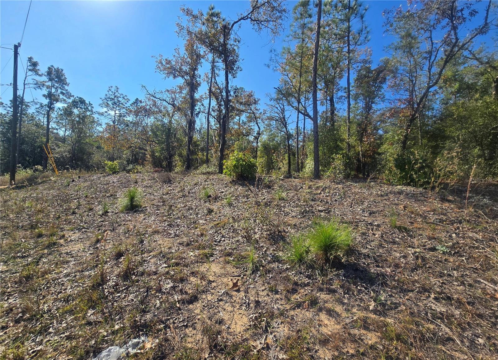 CITRUS SPGS UNIT 20 - Land