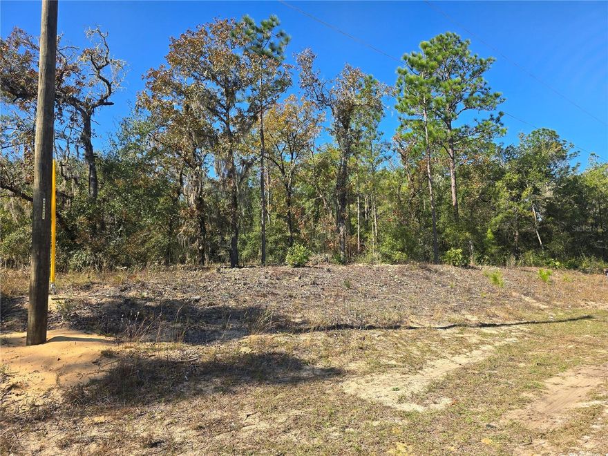 Just outside Citrus Springs and right along the edge of Dunnellon’s nature coast sits this prime opportunity to build your dream home or investment property. The lot is mostly flat, lightly wooded, and offers easy access to the Withlacoochee Trail Hwy—perfect for commuting to Dunnellon, Lecanto, or even Ocala. Outdoor lovers will appreciate the nearby parks, bicycle trails, and the famous Withlacoochee and Rainbow Rivers. Located on a paved road in a developing area with a few existing duplexes, this parcel brings real potential for personal use or an income-producing build. Take advantage of the growth and create your own investment here today.