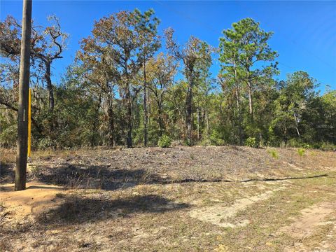 11136 N VESTA POINT DUNNELLON FL 34434
