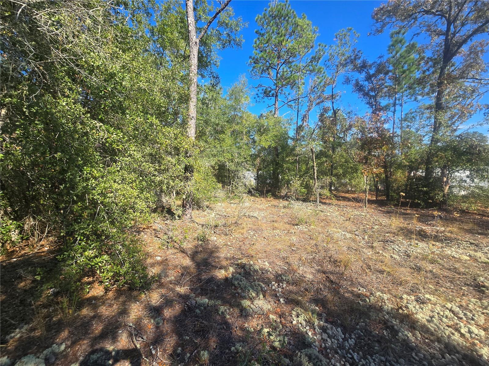 CITRUS SPGS UNIT 20 - Land