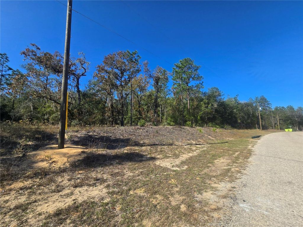 Photo of 11136 N Vesta Point, Dunnellon, FL 34434 (MLS # OM714280)