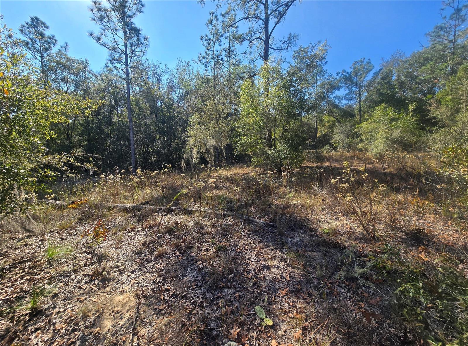 CITRUS SPGS UNIT 20 - Land