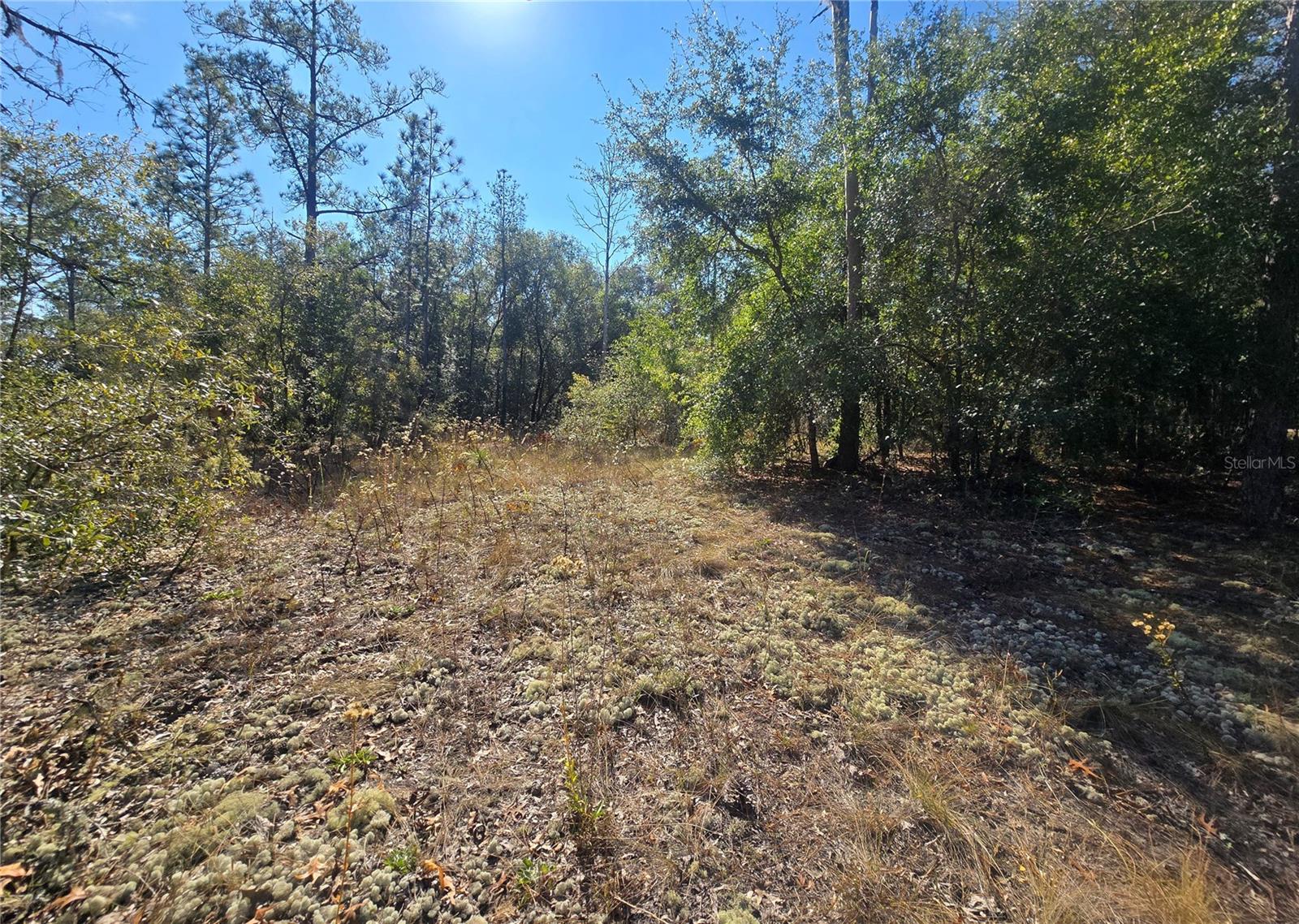 CITRUS SPGS UNIT 20 - Land