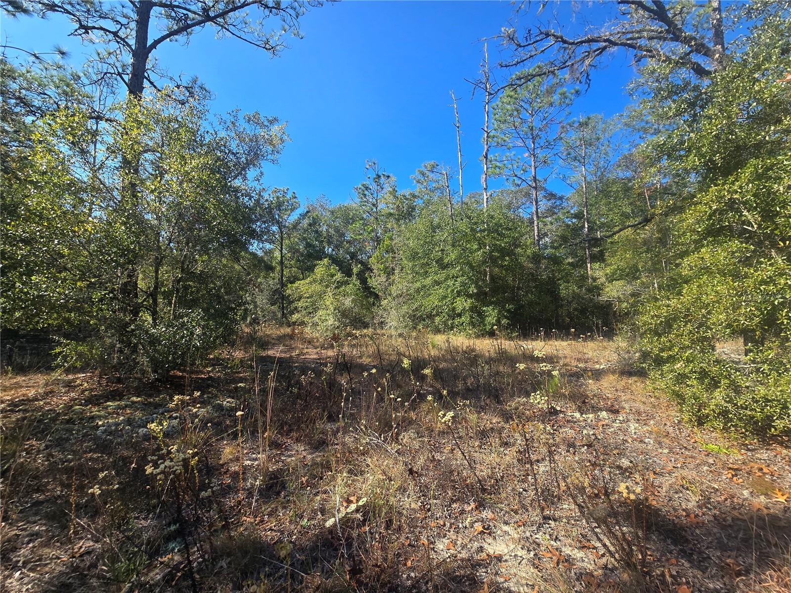 CITRUS SPGS UNIT 20 - Land