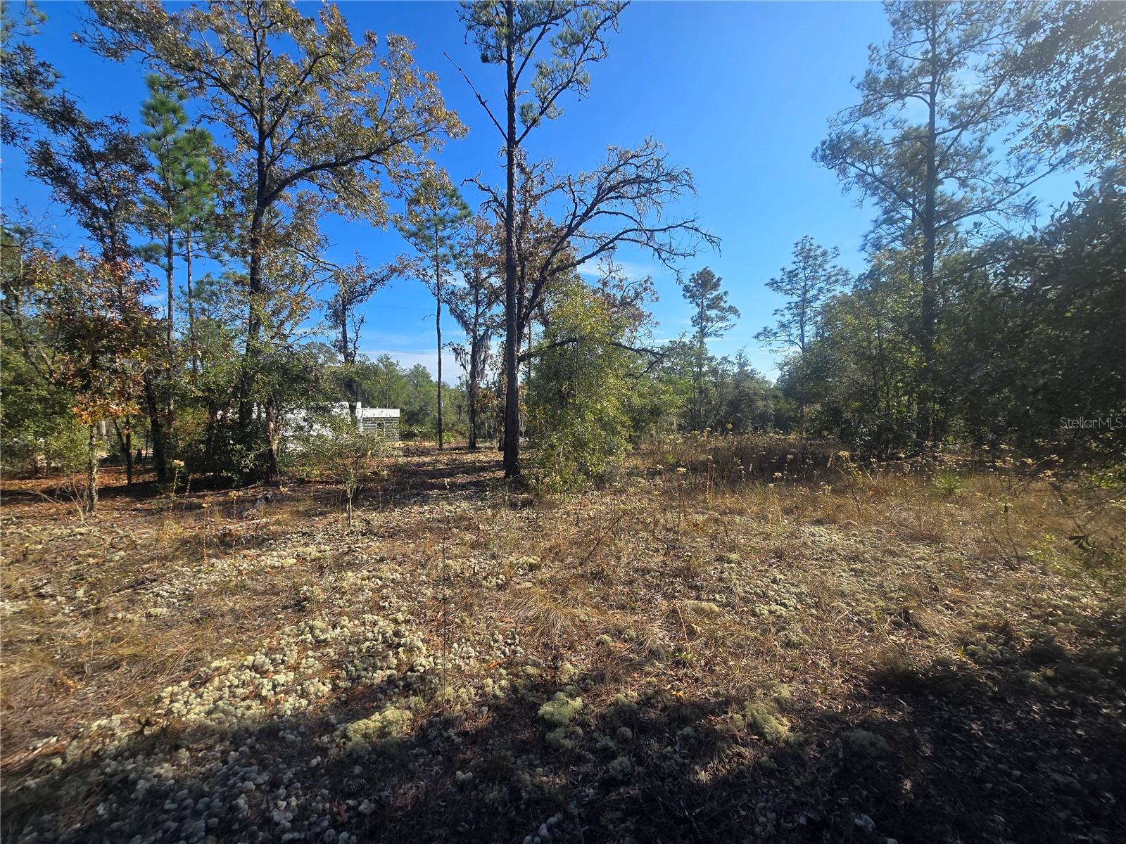 CITRUS SPGS UNIT 20 - Land