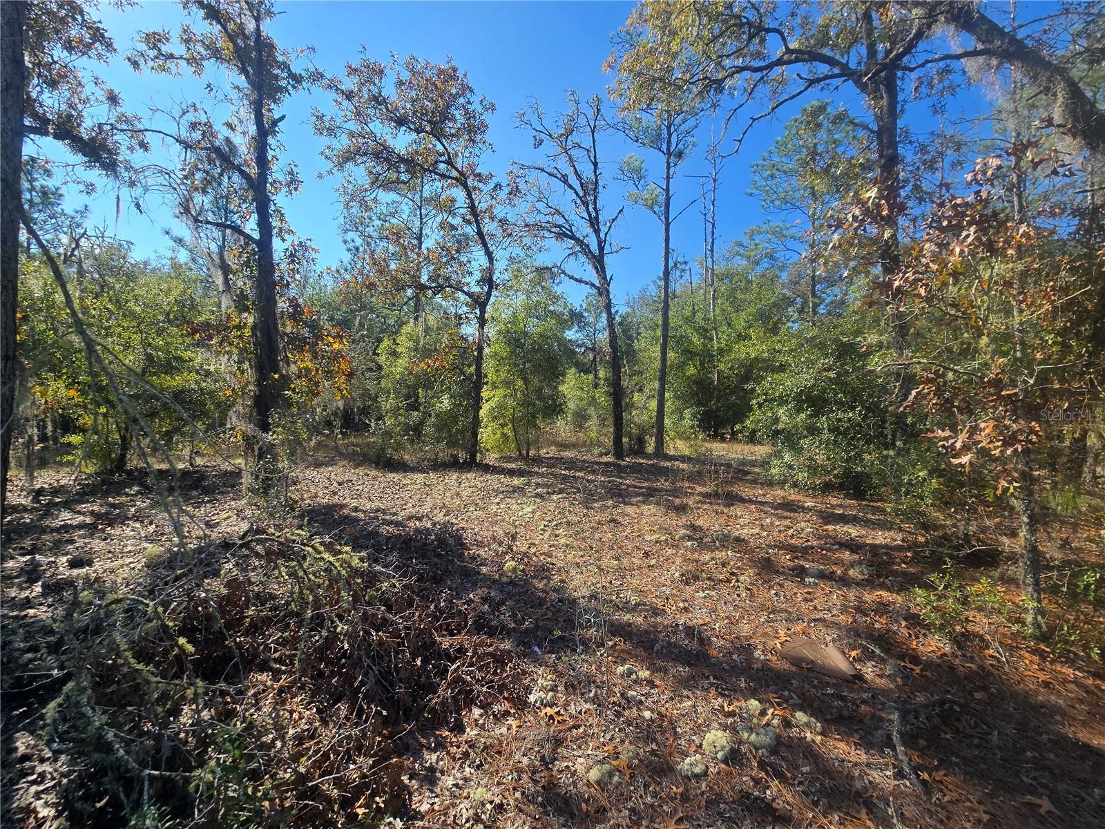 CITRUS SPGS UNIT 20 - Land