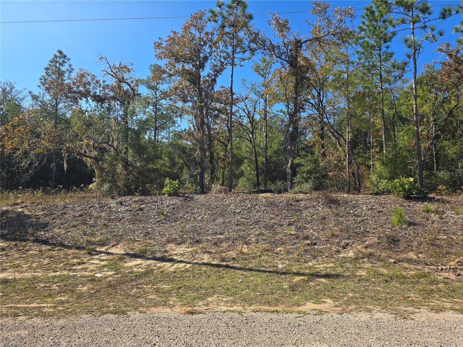 CITRUS SPGS UNIT 20 - Land