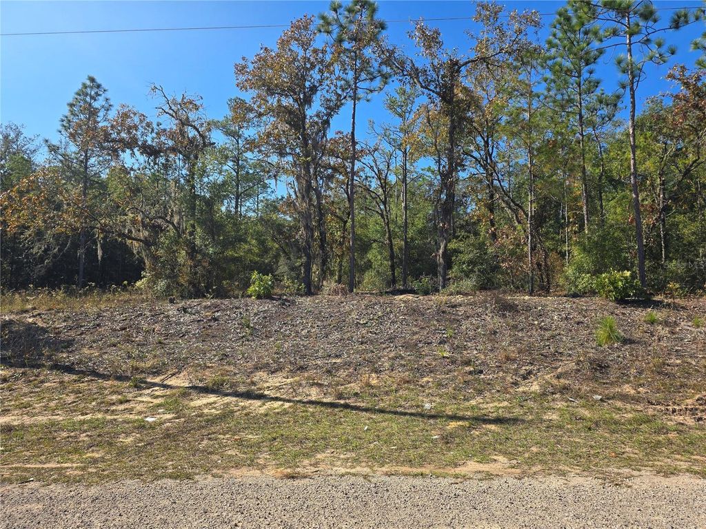 Photo of 11136 N Vesta Point, Dunnellon, FL 34434 (MLS # OM714280)