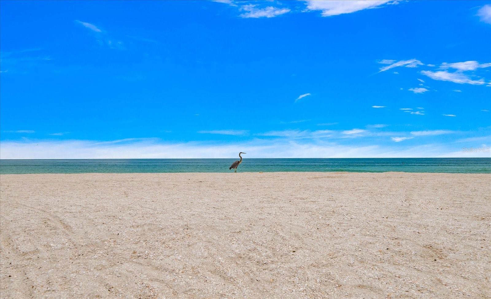 SUNSET BEACH - Residential