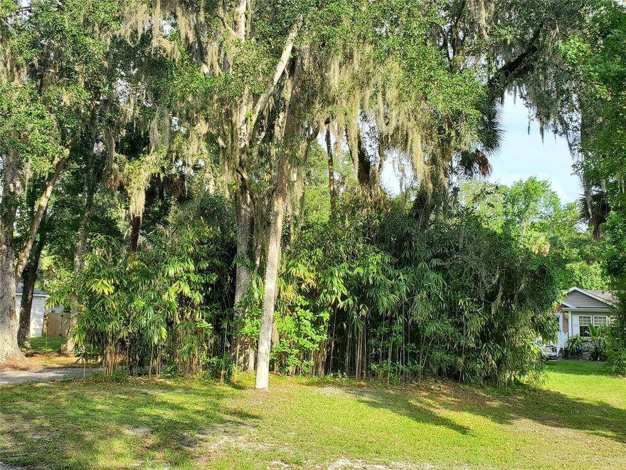 Great building lot in the cozy community of Mission Oaks, a great manufactured home community where you OWN THE LAND! Electric, water and sewer hookups at the property lines. A great opportunity to order exactly the home you want on this land. The community is close to the beach and all the activities New Smyrna Beach has to offer. A short trip to Daytona, Orlando, amusements parks and airports. Make this one YOUR home today; Cleared: Partial ;Water: Available at Site