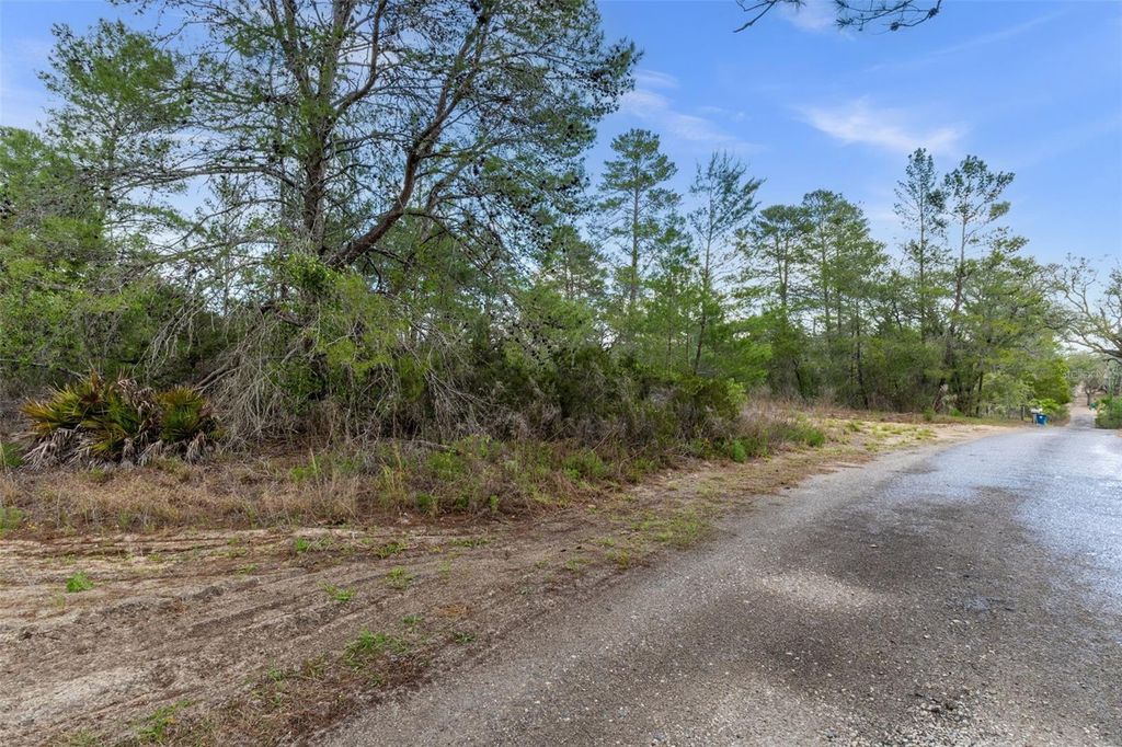 Photo of 0 Harrison Street, Brooksville, FL 34613 (MLS # W7884427)