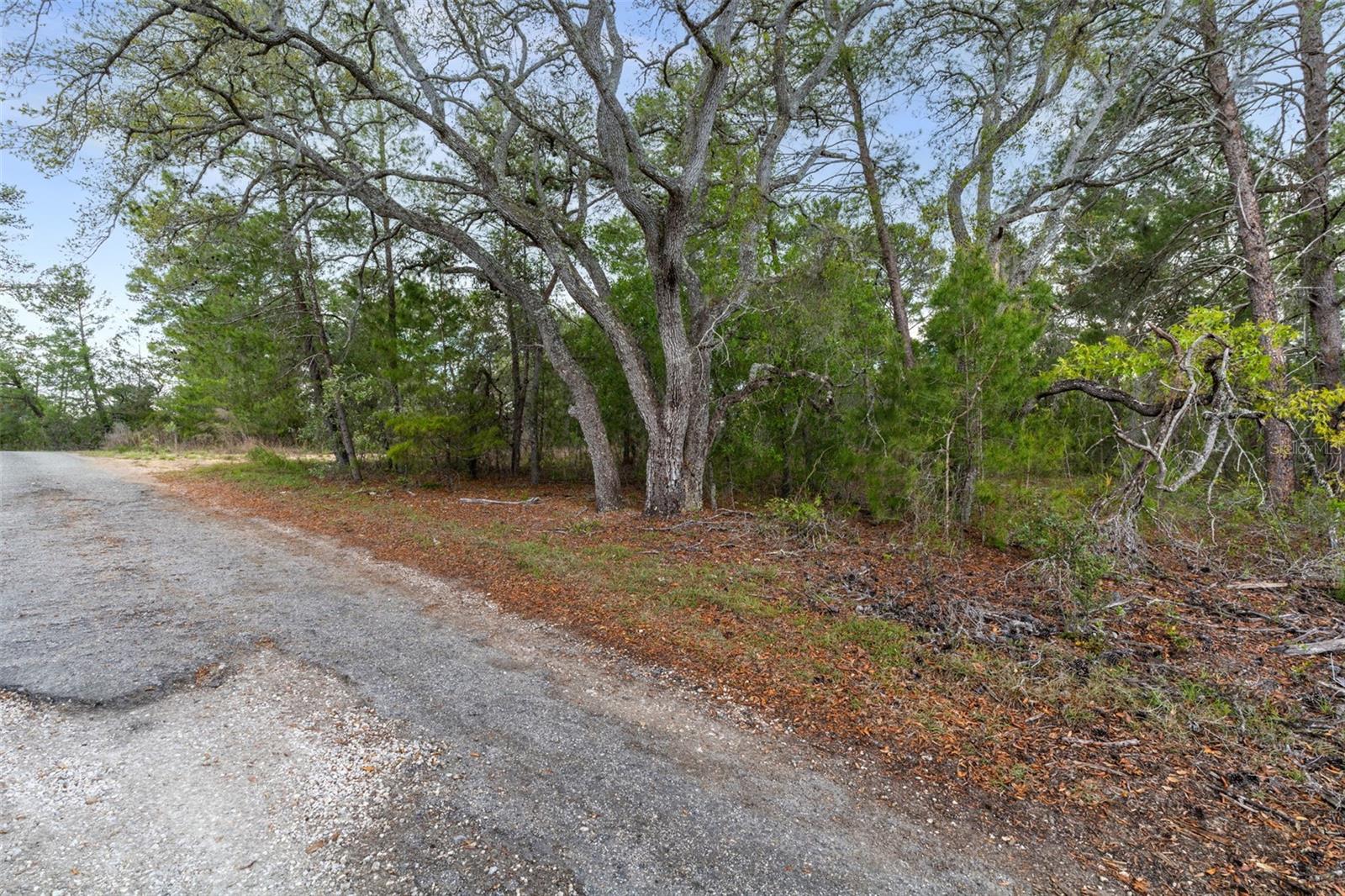 POTTERFIELD GARDEN AC - G - Land