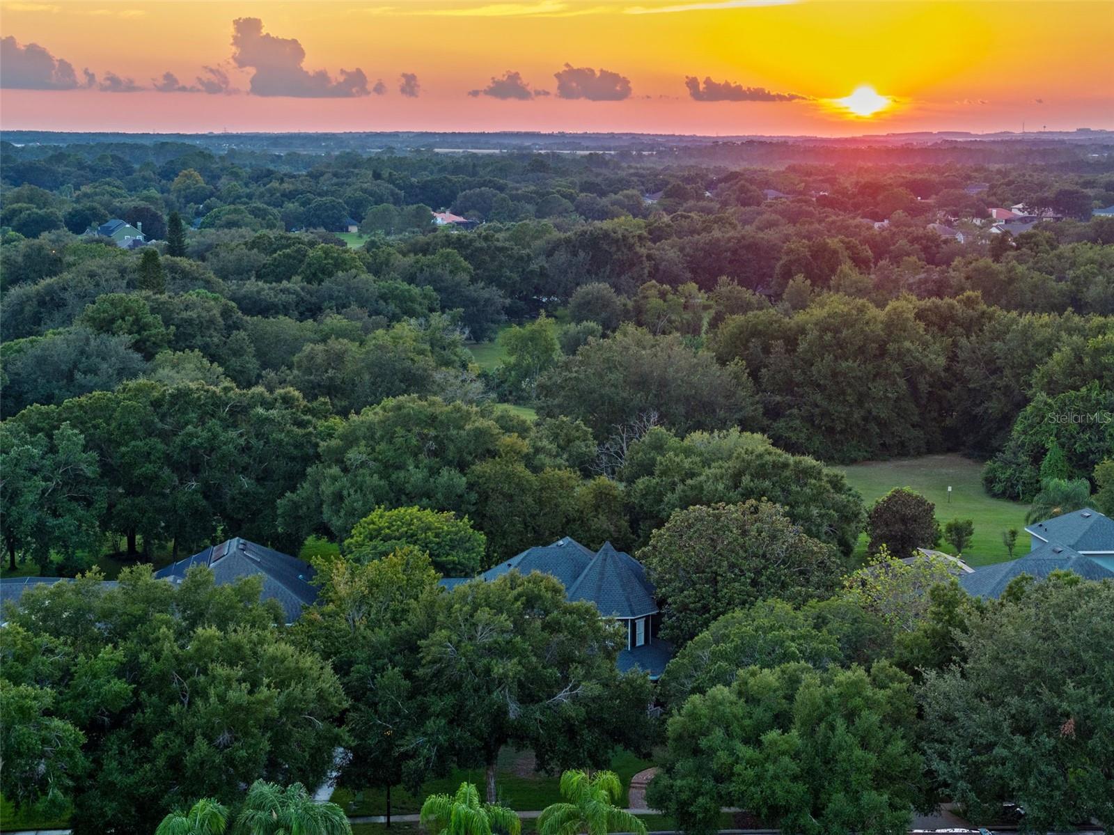 ESTATES AT WINDERMERE - Residential