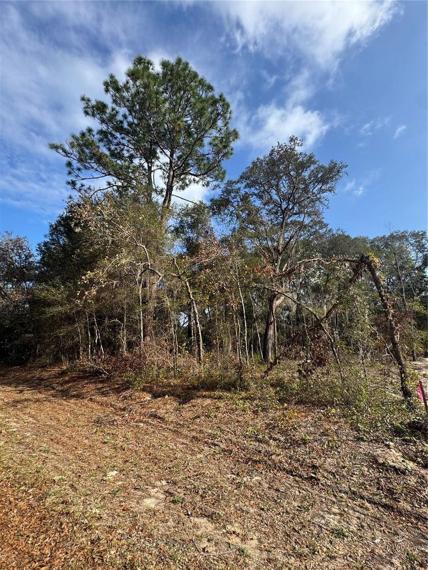 This R1 lot is on a paved road with new construction up and coming throughout the development.  Convenient to local shopping, 27 minutes to downtown Ocala and the Villages, Lockheed Martin is minutes away, 16 minutes to Belleview and 12 minutes to Lake Weir for water sports.