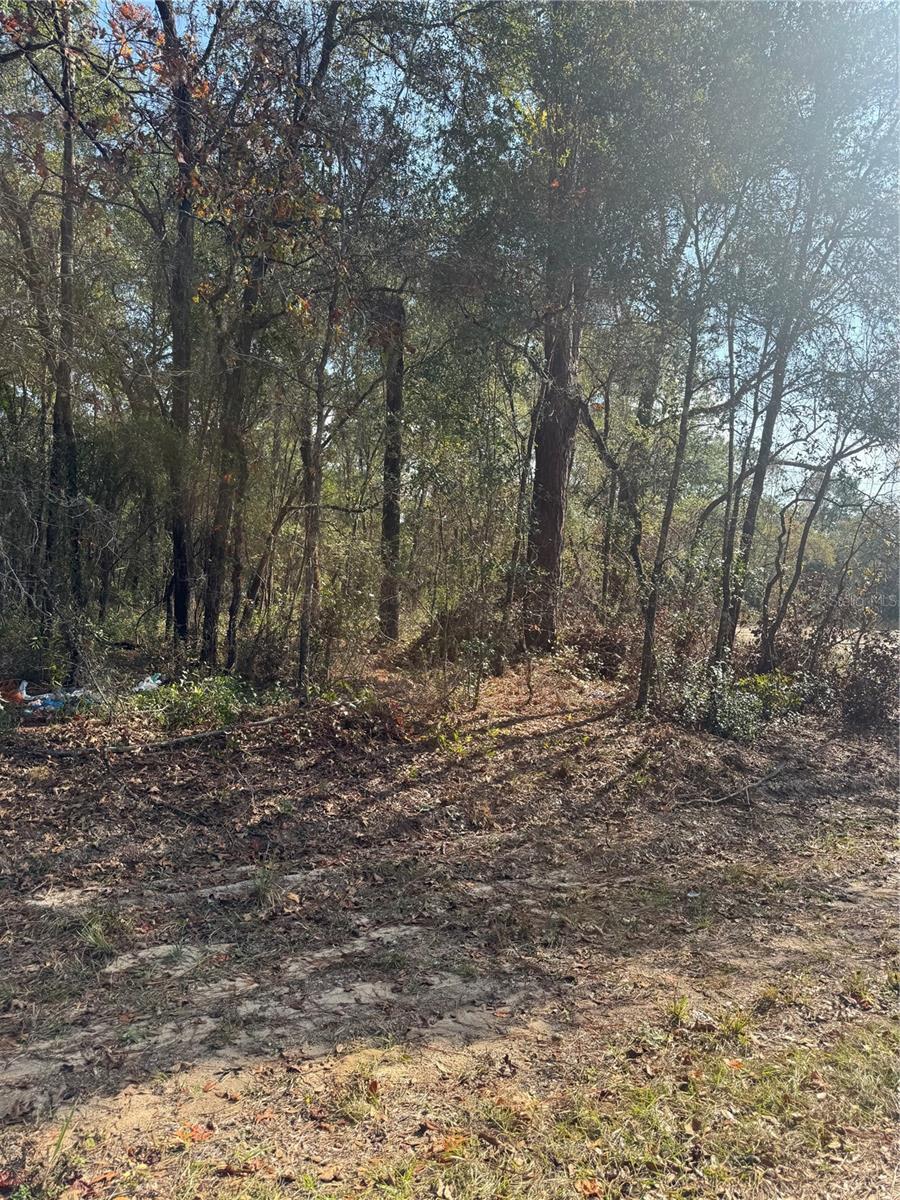 SILVER SPGS SHORES UN 51 - Land