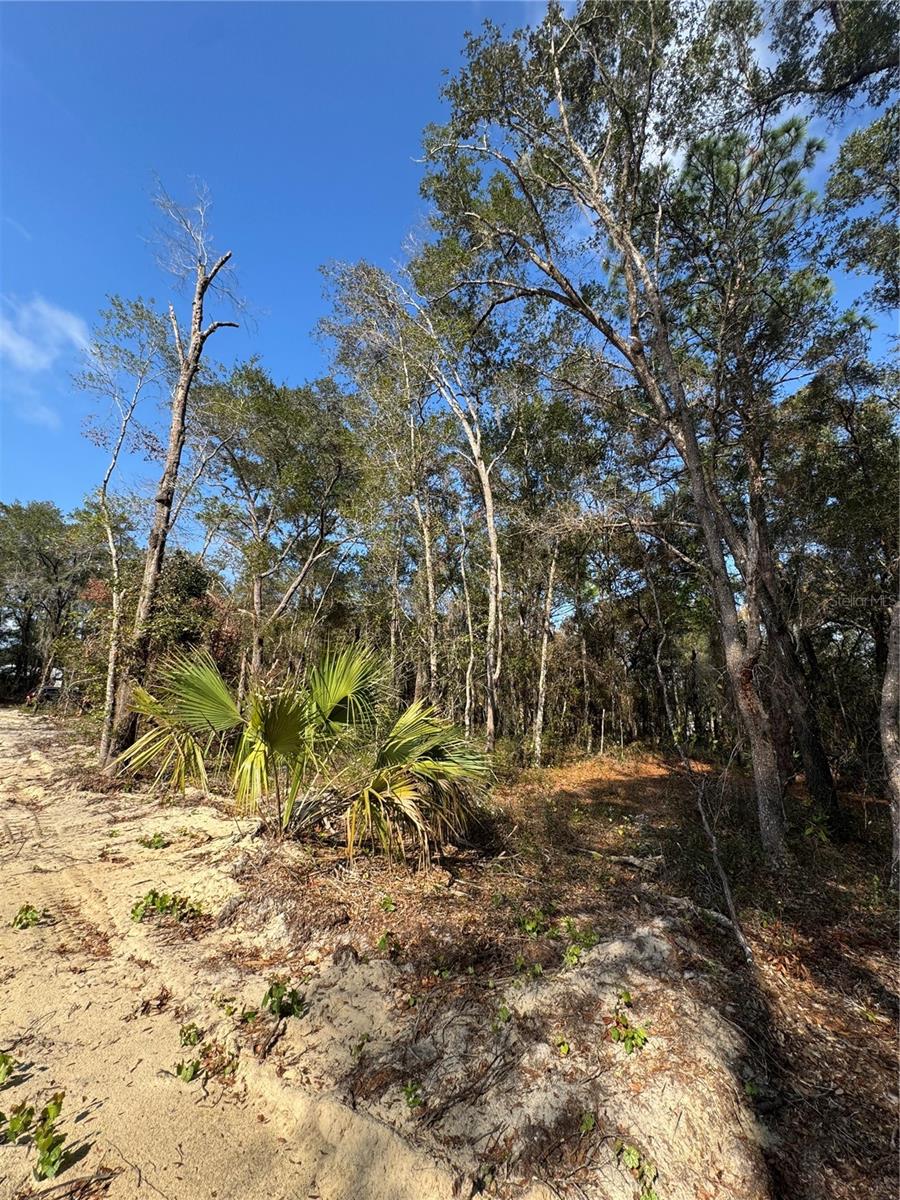 SILVER SPGS SHORES UN 51 - Land