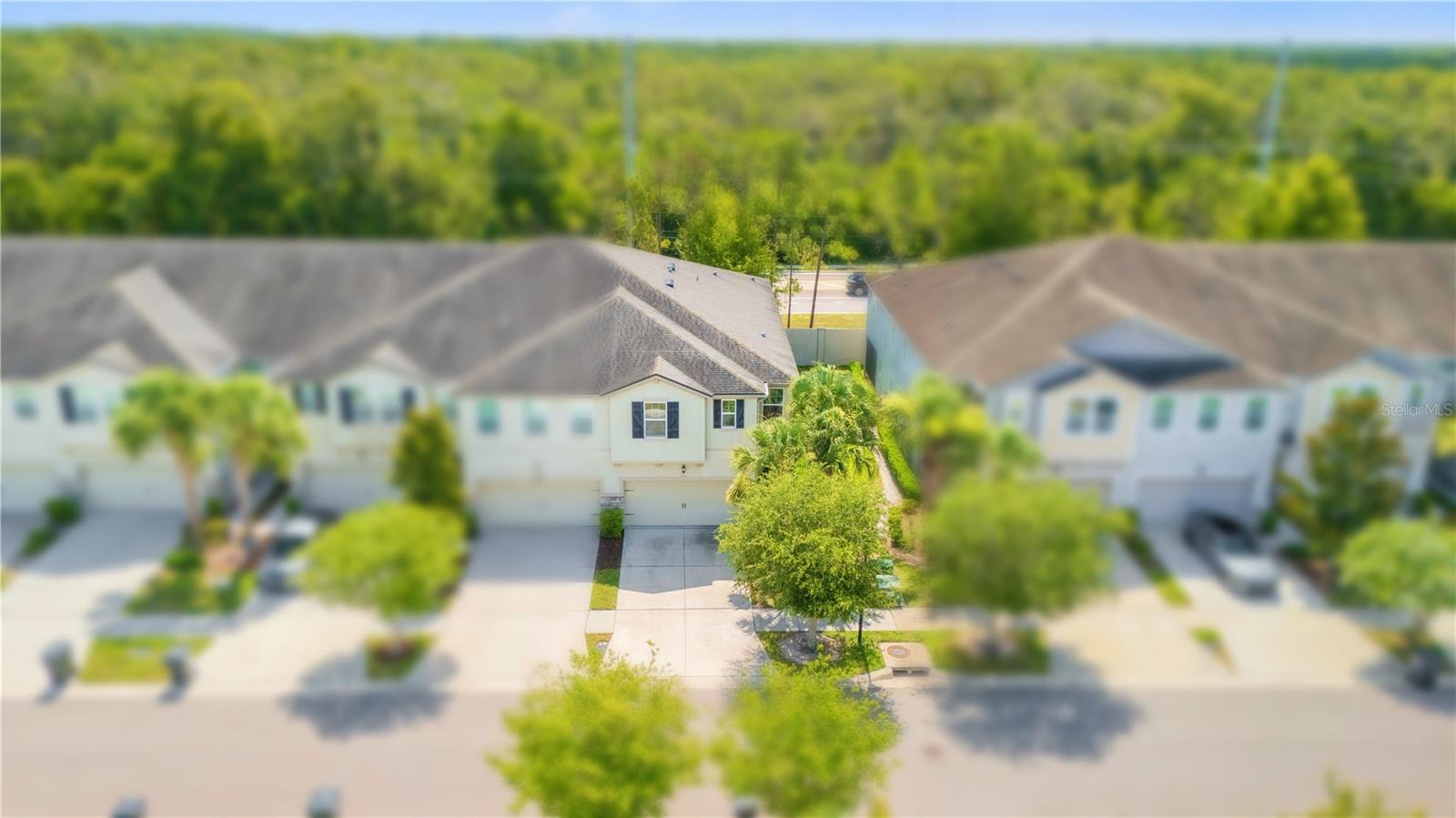 10316 HOLSTEIN EDGE PLACE