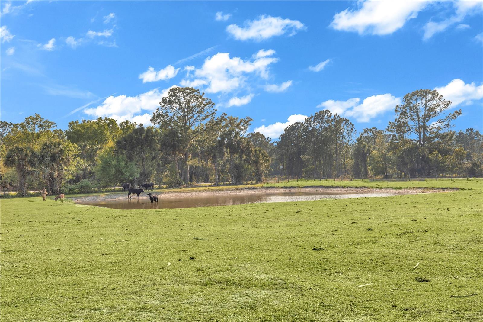 RIVER OAKS ESTATES - Residential