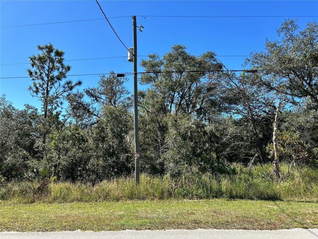 Photo of Woodstork Way, Frostproof, FL 33843 (MLS # P4938193)