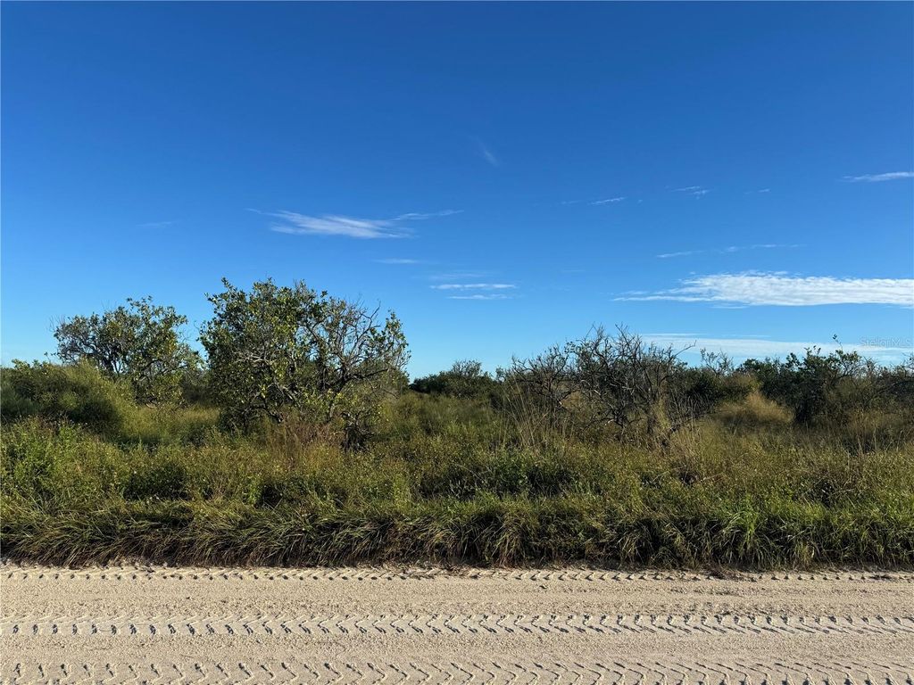 Photo of NE Highway 70, Arcadia, FL 34266 (MLS # C7514753)