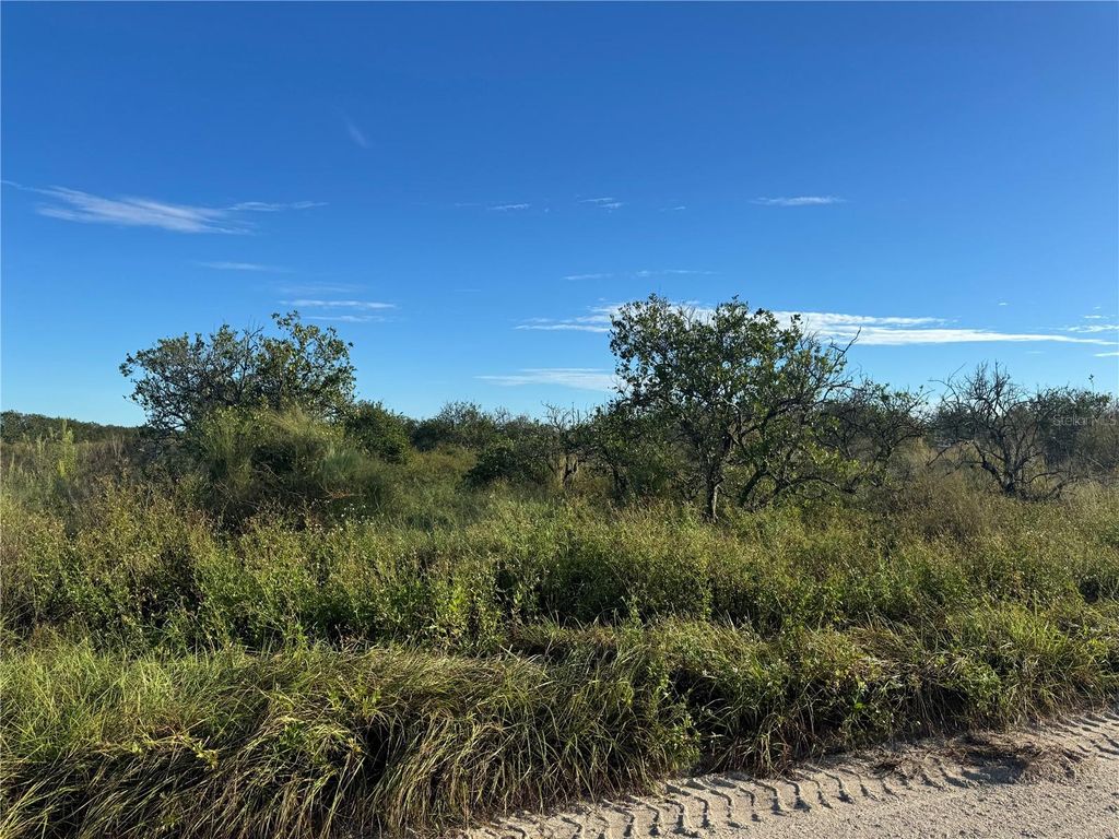 Photo of NE Highway 70, Arcadia, FL 34266 (MLS # C7514753)