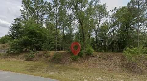 Photo of 0 SW 198th Circle, Dunnellon, FL 34432 (MLS # TB8510794)
