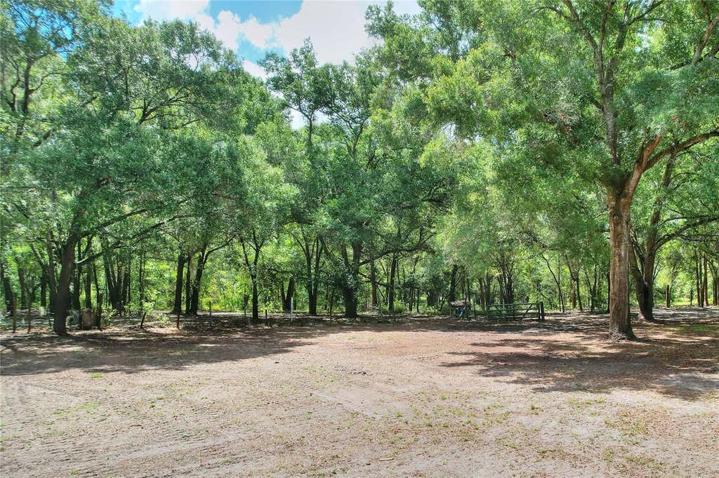 Photo of 11000 Kitten Trail, Hudson, FL 34669 (MLS # TB8524295)