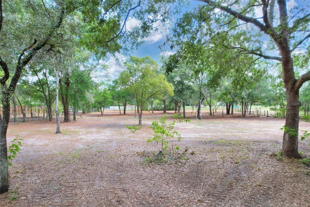 Photo of 11000 Kitten Trail, Hudson, FL 34669 (MLS # TB8524295)