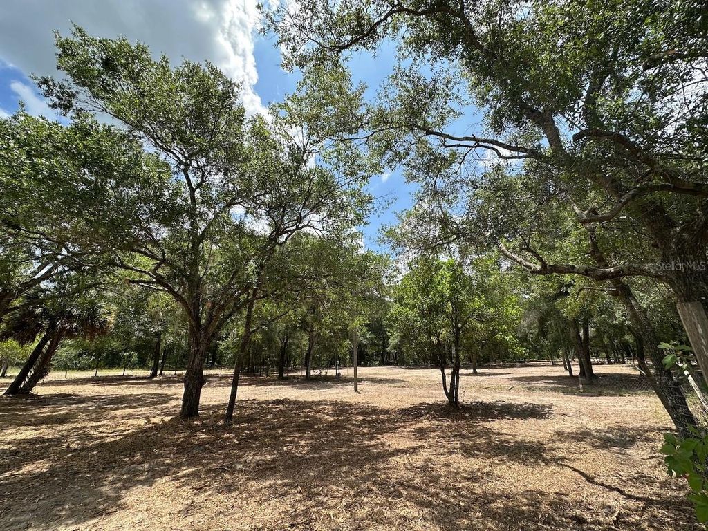 Photo of 11000 Kitten Trail, Hudson, FL 34669 (MLS # TB8524295)