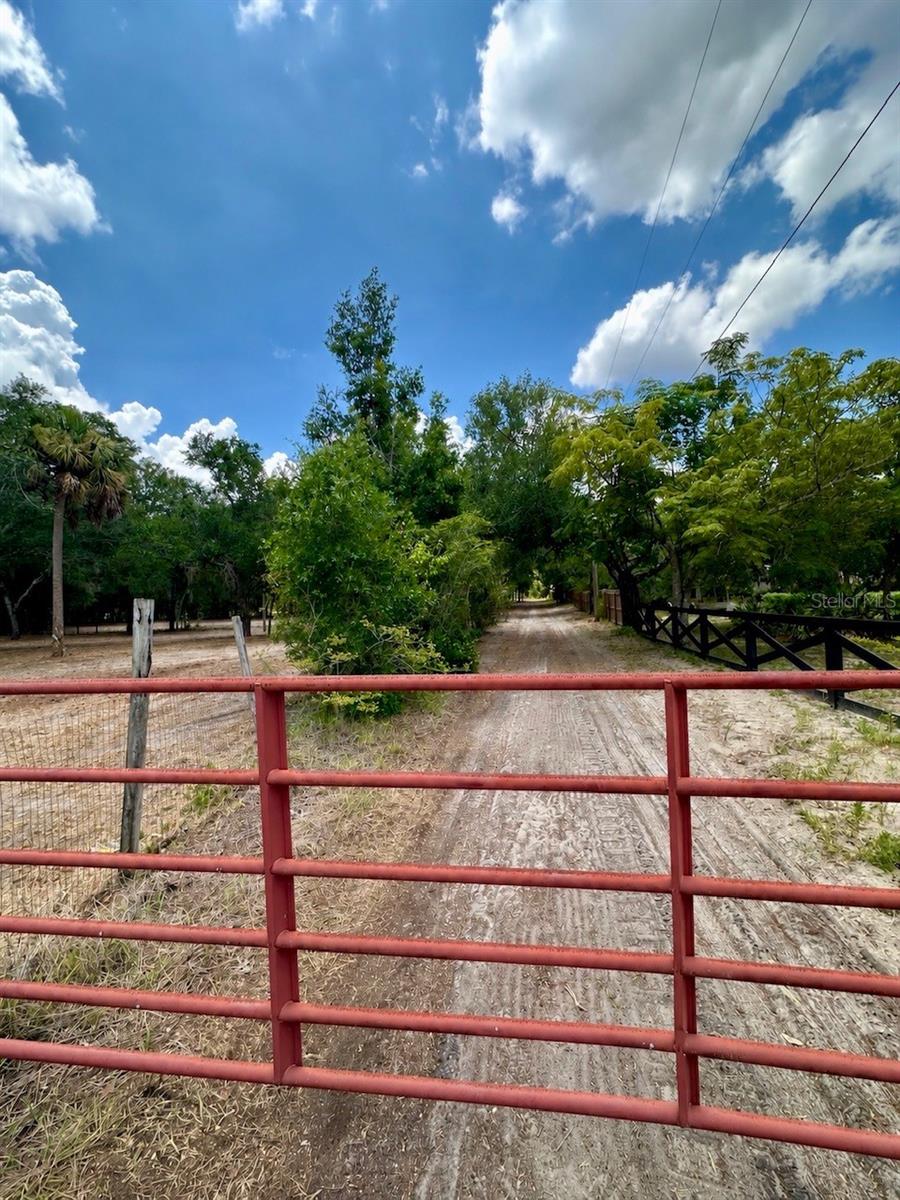 Photo of 11000 Kitten Trail, Hudson, FL 34669 (MLS # TB8524295)