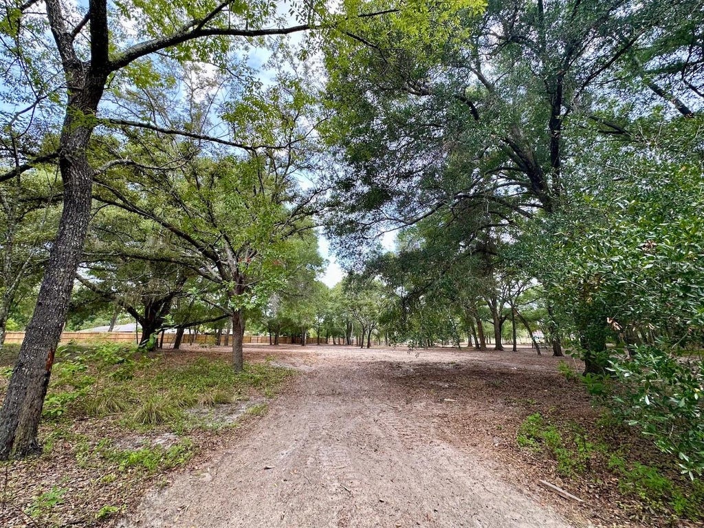 Photo of 11000 Kitten Trail, Hudson, FL 34669 (MLS # TB8524295)